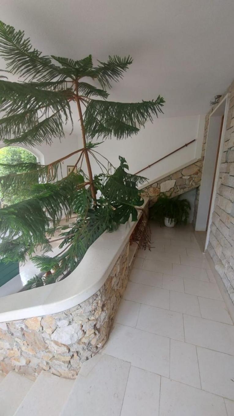 Apartment Brane Бол Екстериор снимка